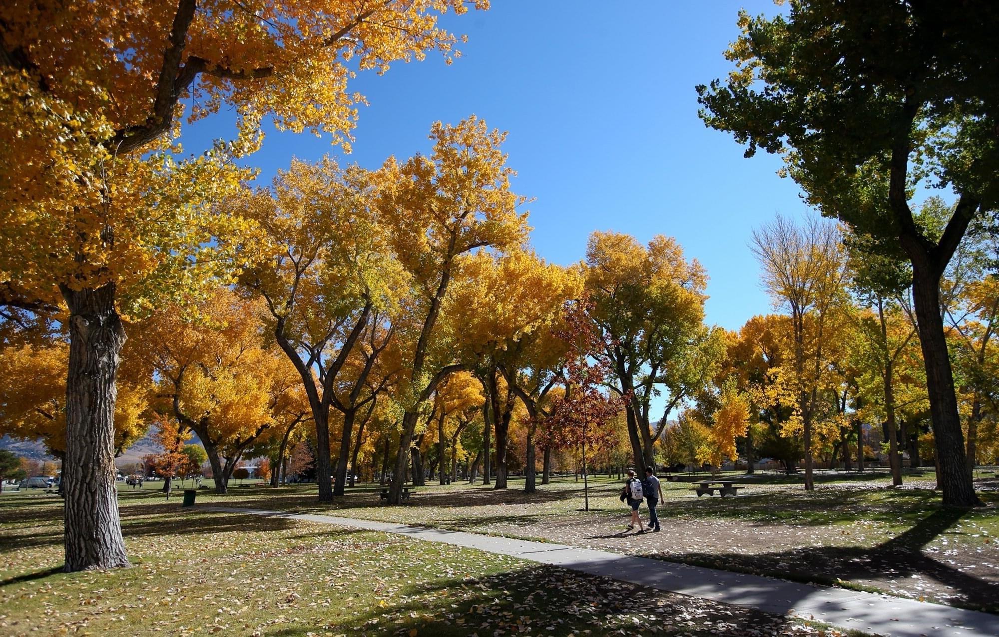 Mills Park Autumn